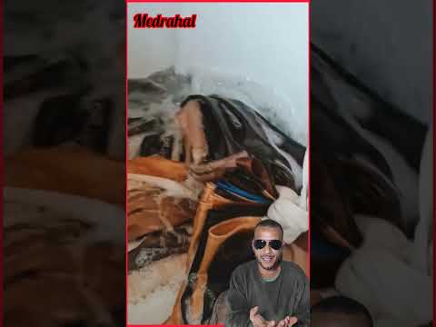 حيل عبقرية لغسيل الملابس غسيل الملابس حيل عبقرية نصائح غسيل ملابس نظيفة