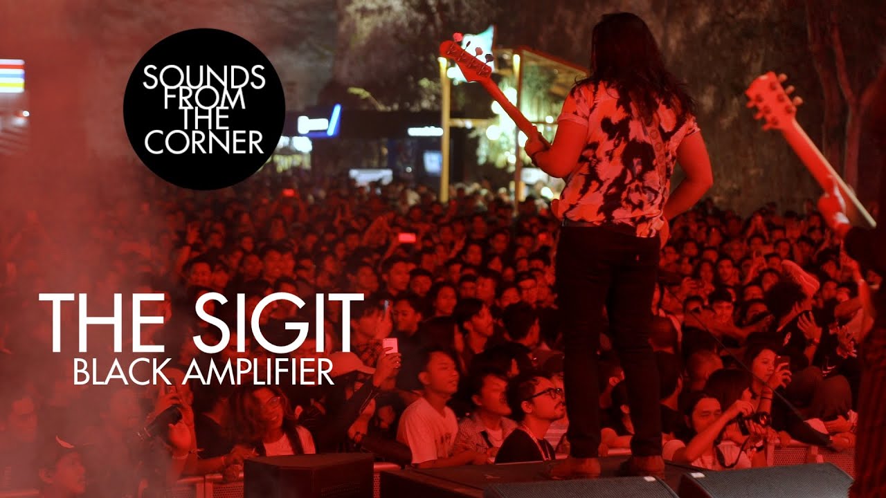 The SIGIT - Provocateur // Black Amplifier | Sounds From The Corner Live #46