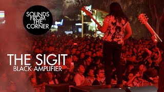 The SIGIT - Provocateur // Black Amplifier | Sounds From The Corner Live #46