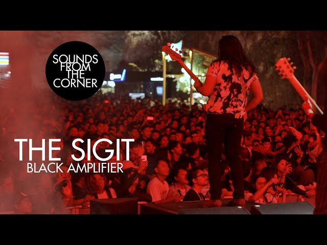 The SIGIT - Provocateur // Black Amplifier | Sounds From The Corner Live #46