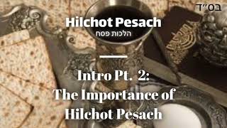 Hilchot Pesach Series | Intro Pt. 2: The Importance of Hilchot Pesach