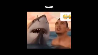 Halal Shark - Arab Memes