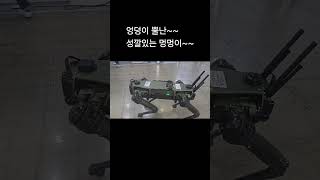 공부 안한다고 잔소리 듣고 눈치켜뜨고....엉덩이 뿔난 멍멍이~~!!