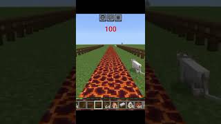 How Many Fire Blocks Can Kill Me in Minecraft?🔥🔥🔥