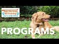 Which Training Program is Right for You? Take the Lead K9 Training Which Training Program is Right for You? Take the Lead K9 Training