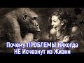 Почему Проблемы НИКОГДА НЕ исчезнут из твоей жизни – Вселенная 25 Джон Кэлхун, эксперимент с крысами