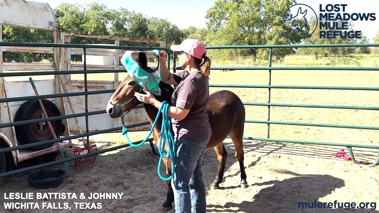 Leslie Battista and Johnny, Mule Training Challenge 2023