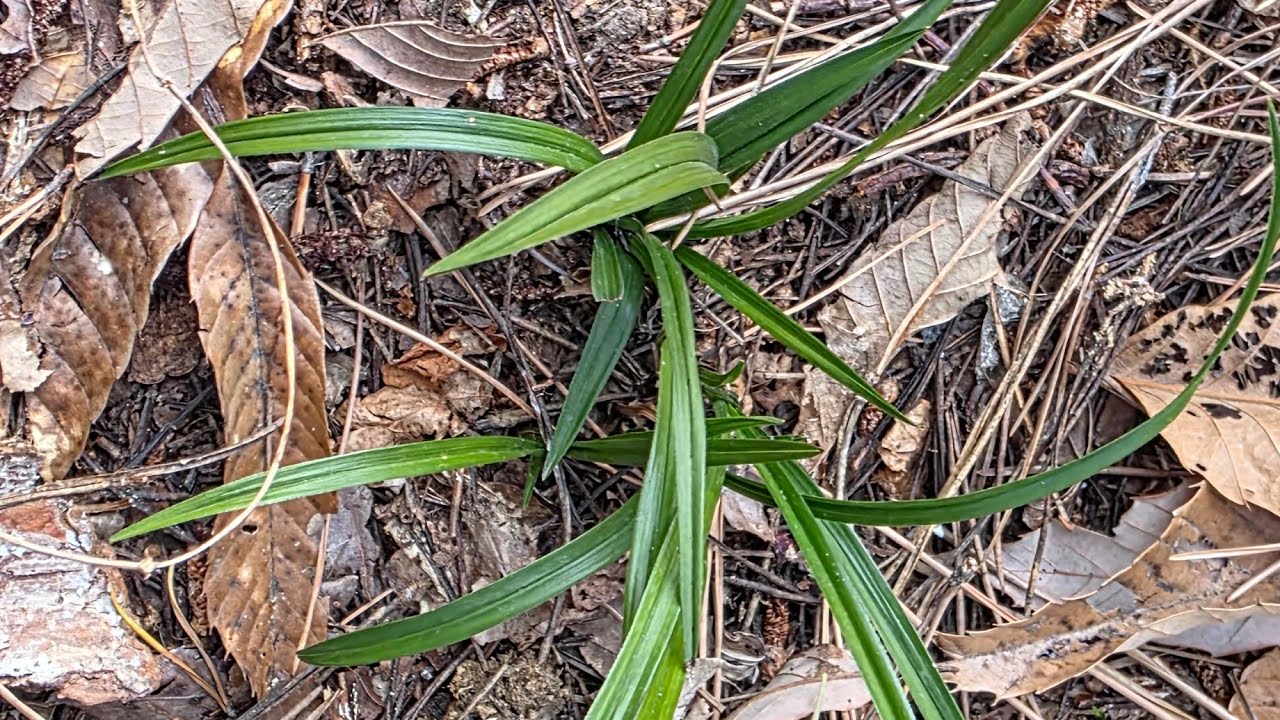 #2월15일 #고흥으로 산채여행