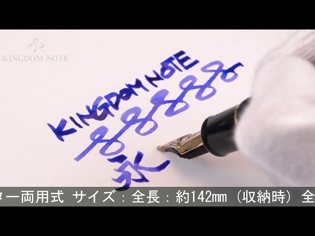 SAILOR セーラー 万年筆 趣味の文具箱限定 プロフェッショナルギア