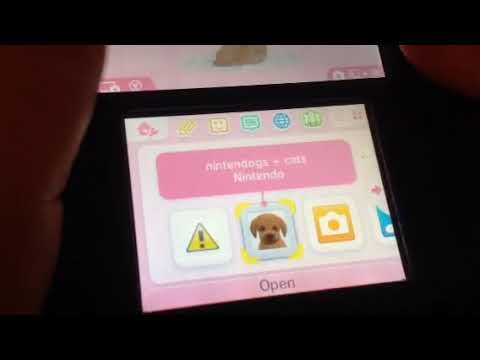 How to delete your save data in nintendogs+cats