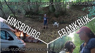 Download Lagu MAGIS \u0026 de vrije vogels VLOG, #WONEN EN REIZEN IN DE CAMPER MP3