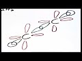 Hybridization Concepts Quiz