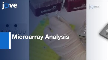 Microarray Analysis For Saccharomyces cerevisiae l Protocol Preview