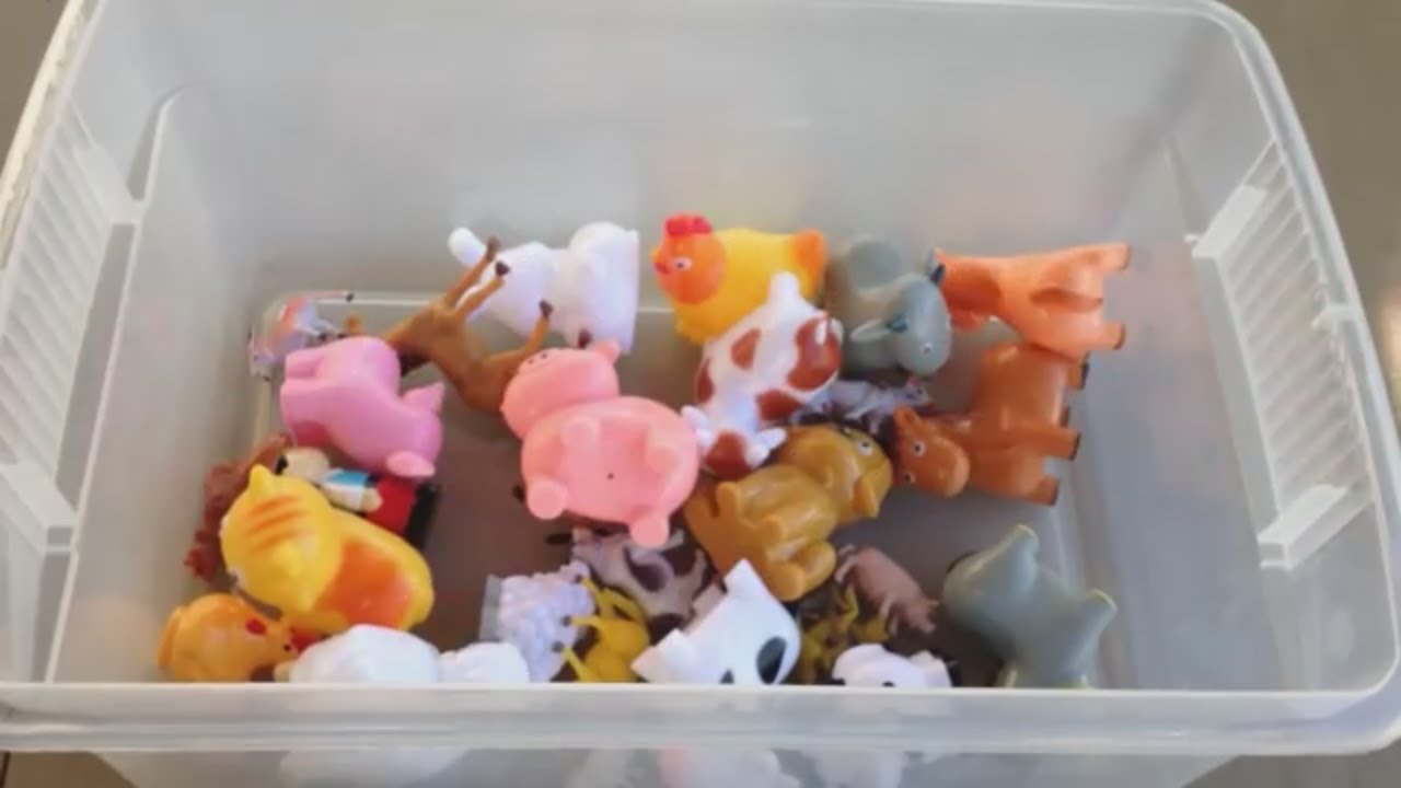 Box of Toys 🎁 Toy Collection 🙉 Learning Farm Animals 🚜 Animals for Kids