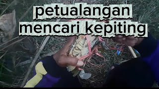 Petualangan mencari kepiting