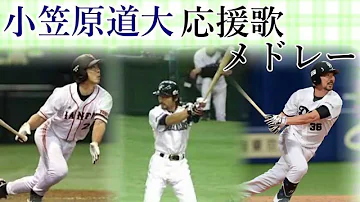 ハム小笠原応援