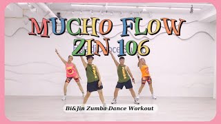 MUCHO FLOW ZUMBA | ELECTRO LATINO - ZIN 106 | LLEGALES | BIJIN ZUMBA DANCE WORKOUT