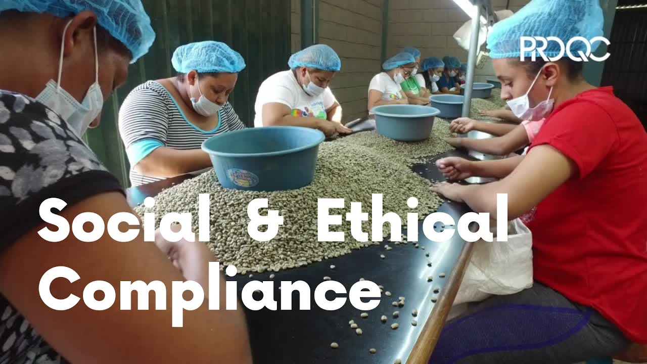 What is Social & Ethical Compliance? 