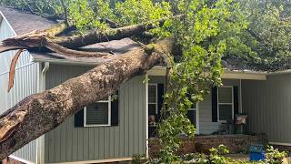 Woman says tree crashed through her Hickory home following storm | WSOC-TV
