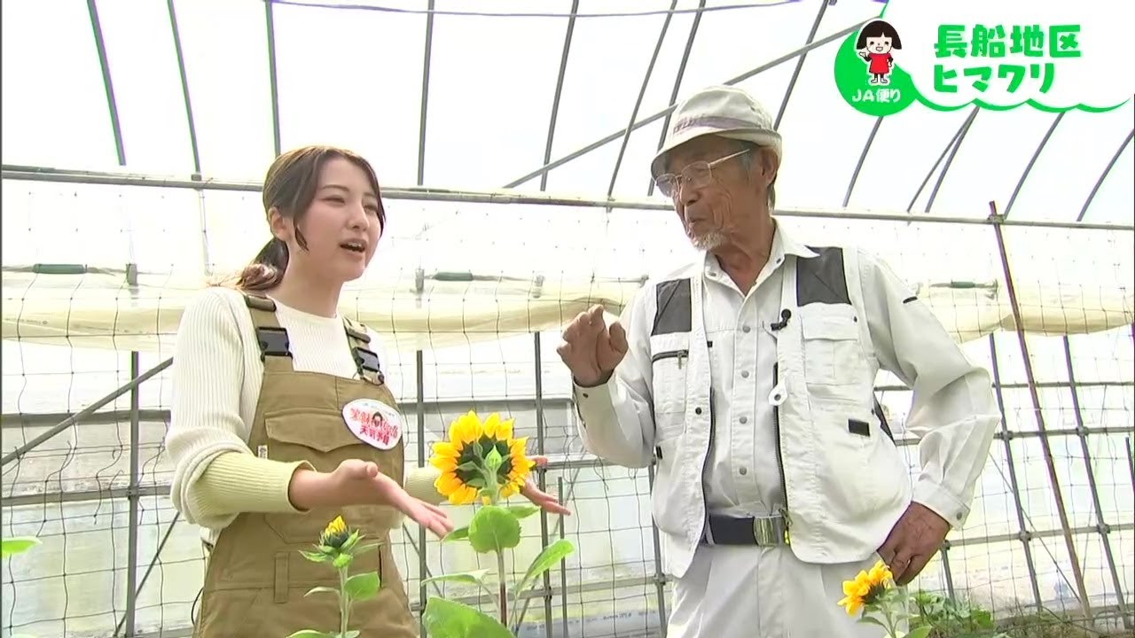 Many people are sure to gain strength from seeing these flowers