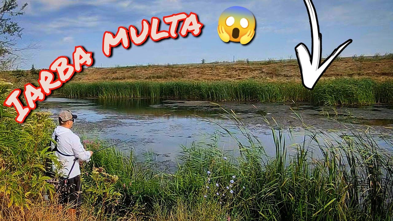 Cum pescuim la STIUCA pe apa plina de vegetatie??