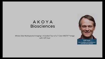 Whole Slide Multispectral Imaging | A Guided Tour of a 7 Color MOTIF™ Image with Cliff Hoyt