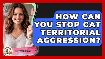 How Can You Stop Cat Territorial Aggression? - Happy Cat Handbook