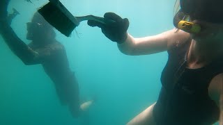 Download Lagu Salt \u0026 Tar: Ep.316- One Way Home MP3