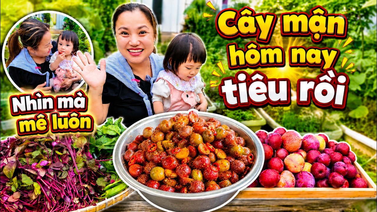 Ko nhịn được cười với biểu cảm của Na khi hái sạch cây mận & lắc muối ớt cực cuốn