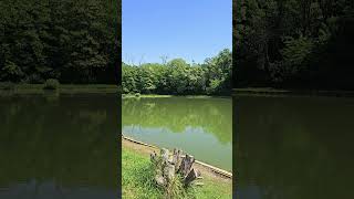 Рыбалка во Франции 👍🦈🎣