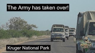 What is Going On? The Army Has Taken Over Kruger National Park