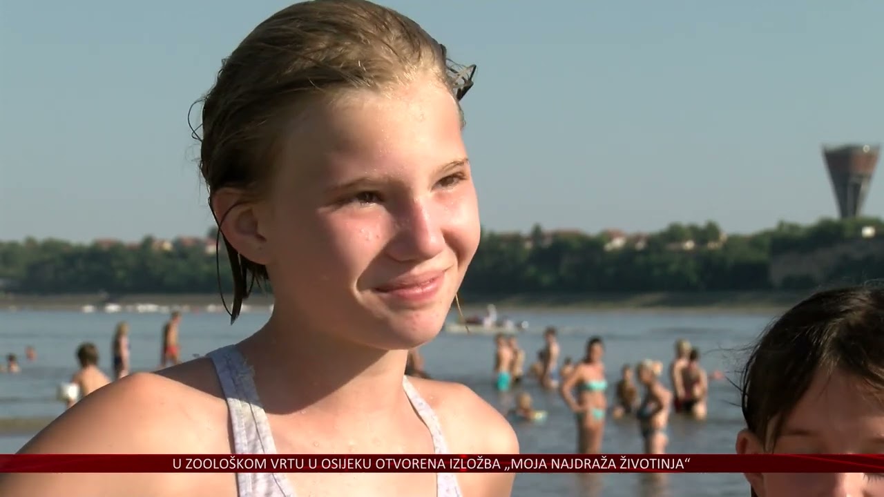 Vukovarska ada – pjeskoviti raj na Dunavu i omiljeno kupalište Vukovaraca