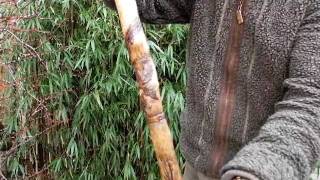 EAGLE STAFF by \
