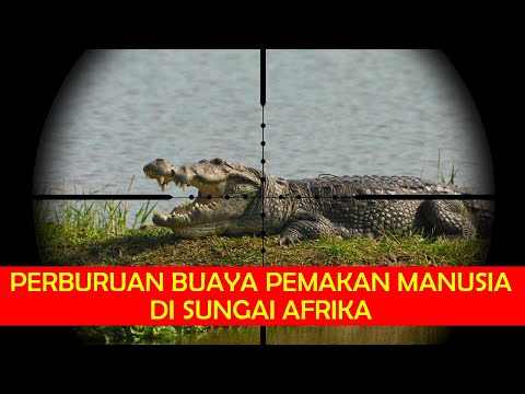 Video: Anjing Yang Mungkin Digunakan Sebagai Umpan Buaya Adalah Semua Tentang Snuggle Sekarang