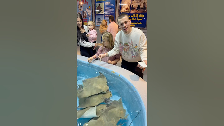 Dad feeds stingray with his family #shorts