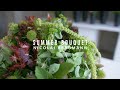 An Unothodox Selection - The Perfect Summer Bouquet