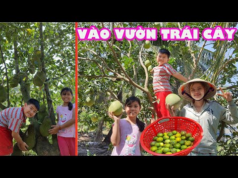 Video: Vườn rau thân thiện với Keto: Trồng gì trong vườn Keto