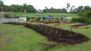 Permaculture Transformation In 90 Days