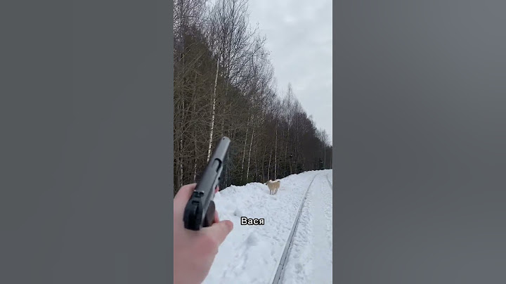Охота на волков #shortsvideo #shortsyoutube #video #природа #shorts #волк #охота #юмор #стая #псы