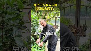 经济下行，收入下降，钱到底去哪了？ #经济 #财经 #金融常识