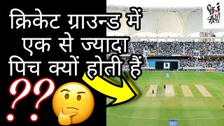 क्रिकेट?ग्राउन्ड में एक से ज्यादा पिच क्यों होती हैं? shorts Cricket Ground hindi fact SRNTEJFACTS