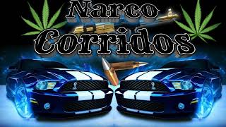 Narco Corridos Los Mejores Corridos 