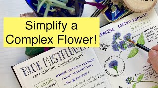 Step by Step Beginner Watercolor Painting - Simplify a Flower!