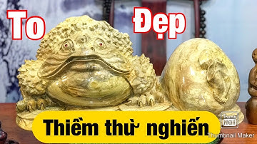 Cụ thiềm thừ nu nghiến chấn bao tiền  siêu to và nặng Nguyễn Hồng 096636318