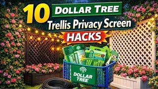 10 Dollar Tree Trellis Hacks to Build a Stunning Backyard Privacy Fence🔥😱