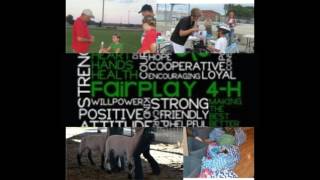 4-H PSA