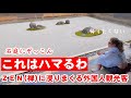 これはハマるわ！ZEN(禅)に浸りまくる外国人観光客 【世界遺産 龍安寺の石庭が大人気】#海外の反応