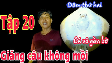 Tập 20 Giăng câu không mồi | Bắt cá đuối vô gần bờ thăm câu đêm thứ hai