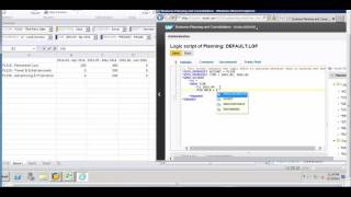 *REC , *XDIM_MEMBERSET and *FOR Commands: SAP BPC Logic Script