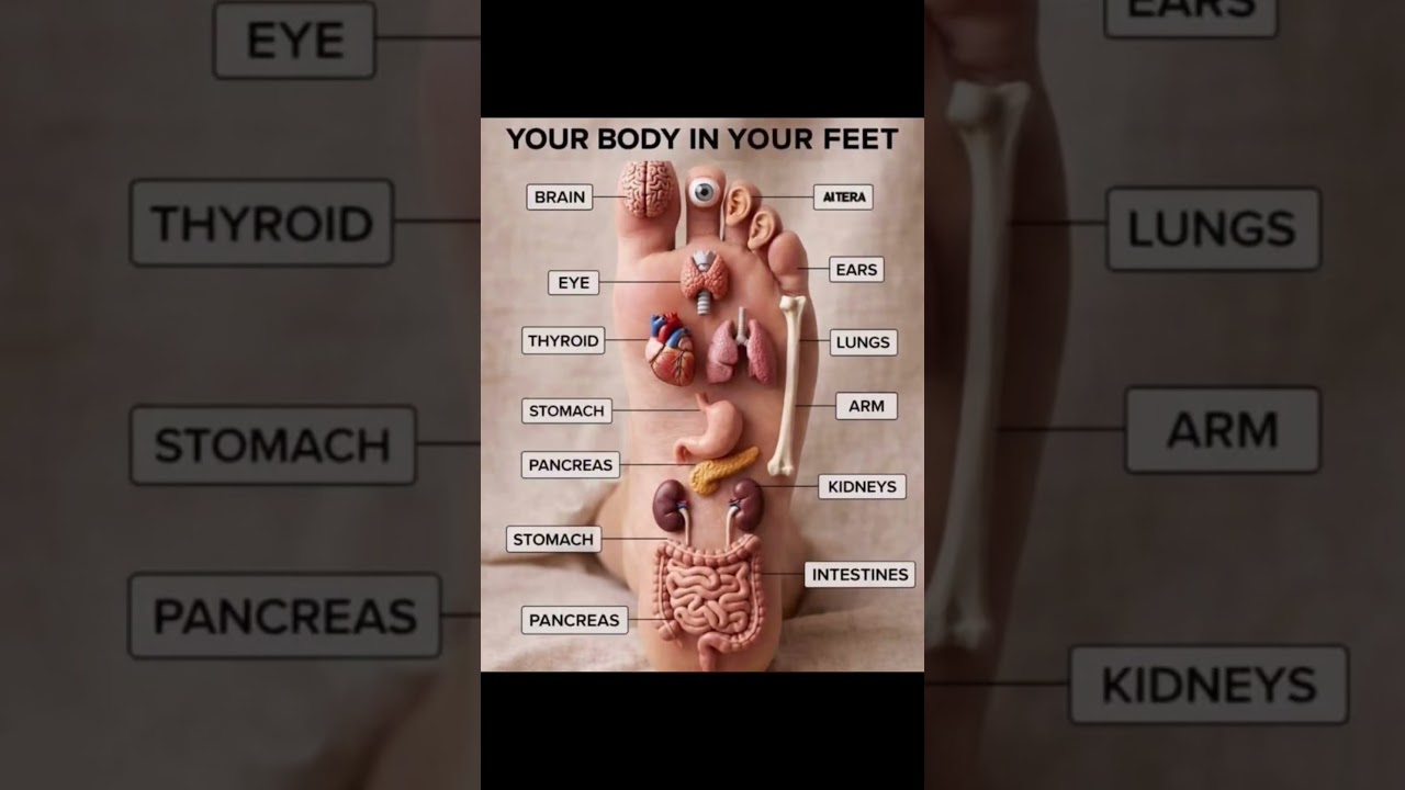 Foot 🦶🏻🦶🏻👣